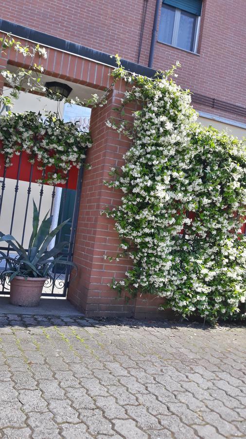 Borromeo Residenze Service S.A.S Peschiera Borromeo Eksteriør billede